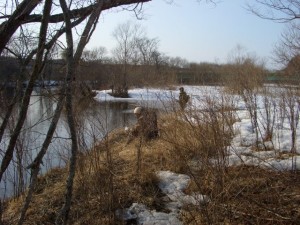 湿原河川にて・・・