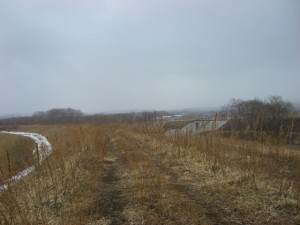 S川系湿原河川 S川系湿原河川