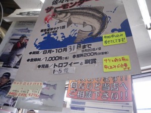 サーモンダービー