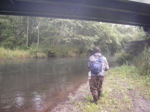 Georgeとニジマス川