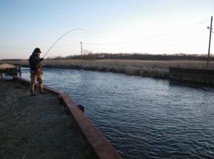隣店長さん、ヒット！