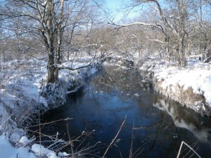 真冬の湿原河川