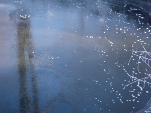 真冬の湿原河川