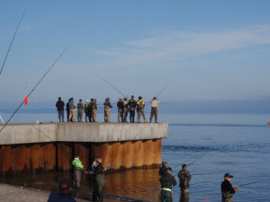 ２０１３Y別河口