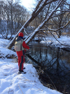 リトルブラザー