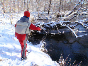 リトルブラザー