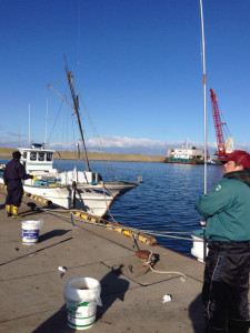 漁業部のチカ釣り