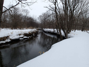 深雪の湿原系河川
