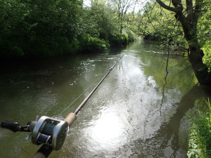 道東湿原系河川