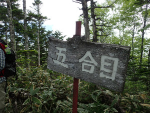 武佐岳登山