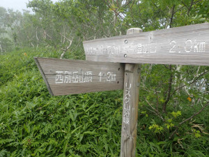 西別岳登山