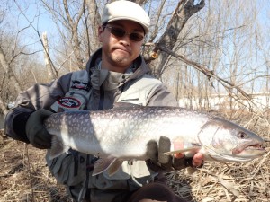 アメマス　７０UP