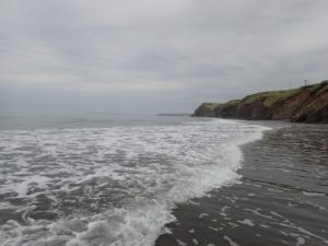 道東海アメサーフ