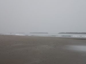 道東海アメサーフ