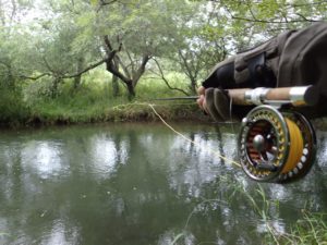 道東湿原系河川