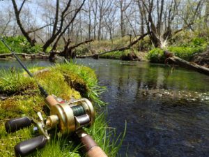 スプリングクリーク