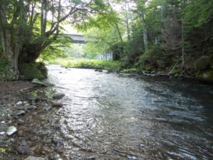 阿寒川滝見橋下ポイント