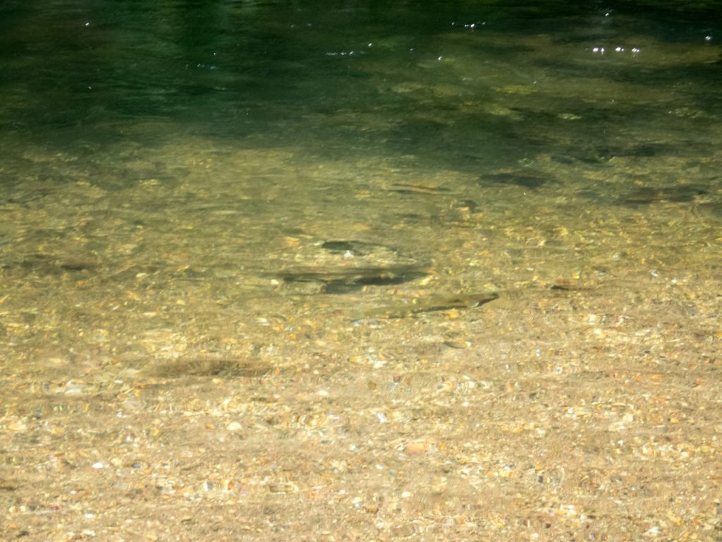 ラビスタ阿寒川ポイント