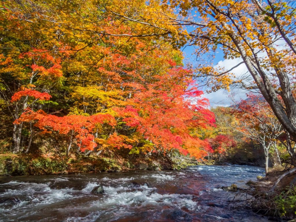 秋の阿寒川