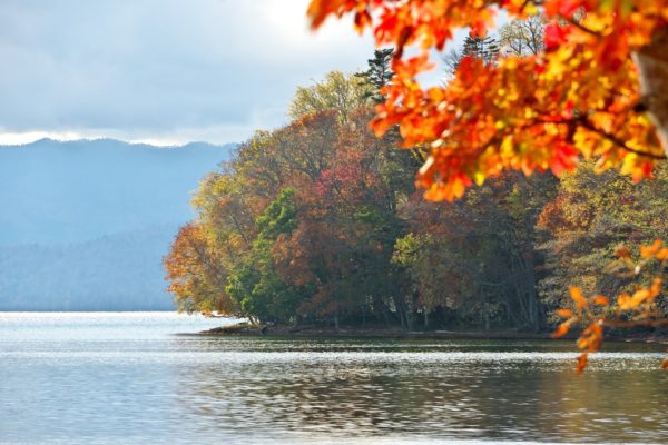 屈斜路湖のヒメマス